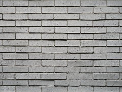 Tenley Brick