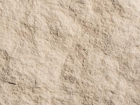 Wheat